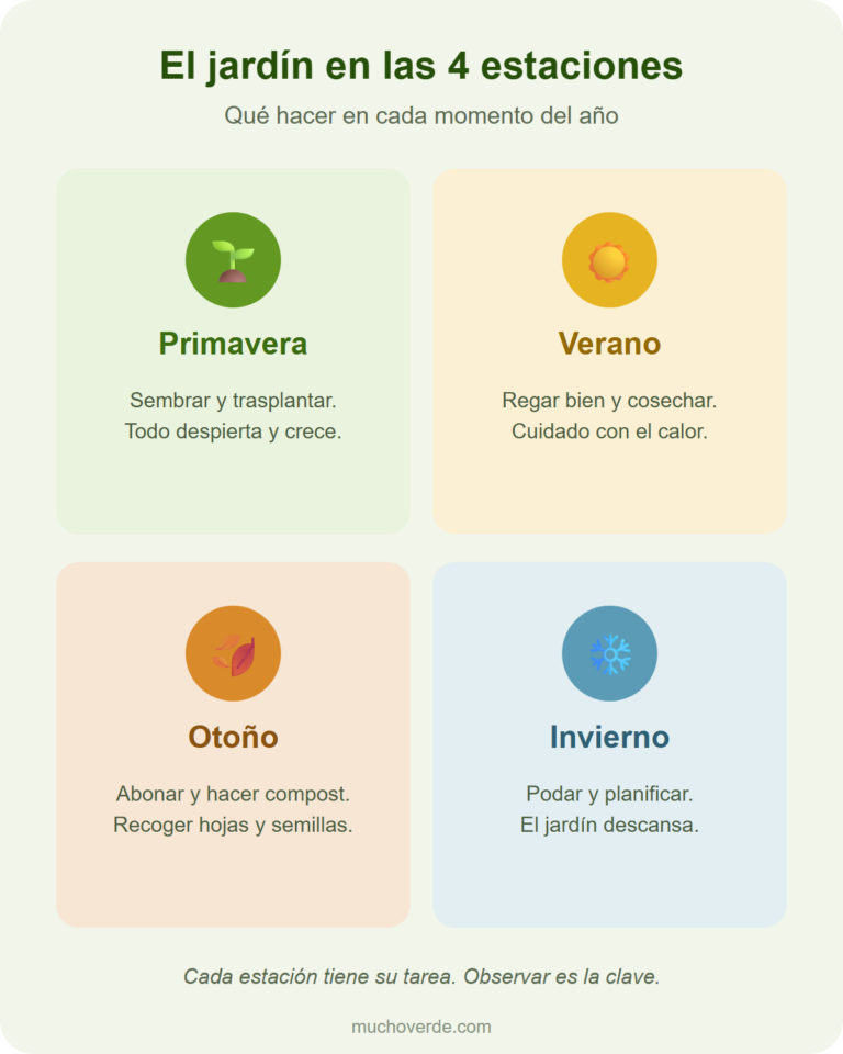Las tareas del jardín en las 4 estaciones: sembrar en primavera, regar y cosechar en verano, abonar en otoño, podar en invierno